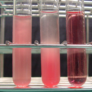 Pre-analytical considerations when collecting blood samples
